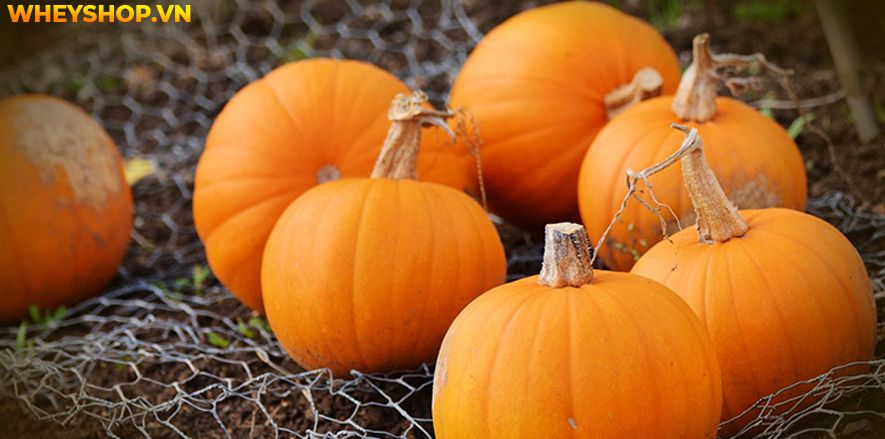 Nếu bạn đang băn khoăn thắc mắc người gầy nên ăn gì để tăng cân thì hãy cùng WheyShop tham khảo chi tiết bài viết ngay sau đây...