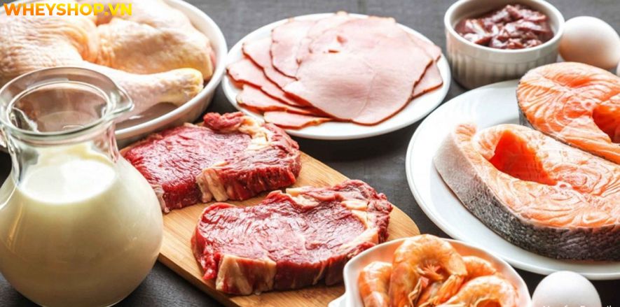 Nếu bạn đang băn khoăn thắc mắc người gầy nên ăn gì để tăng cân thì hãy cùng WheyShop tham khảo chi tiết bài viết ngay sau đây...