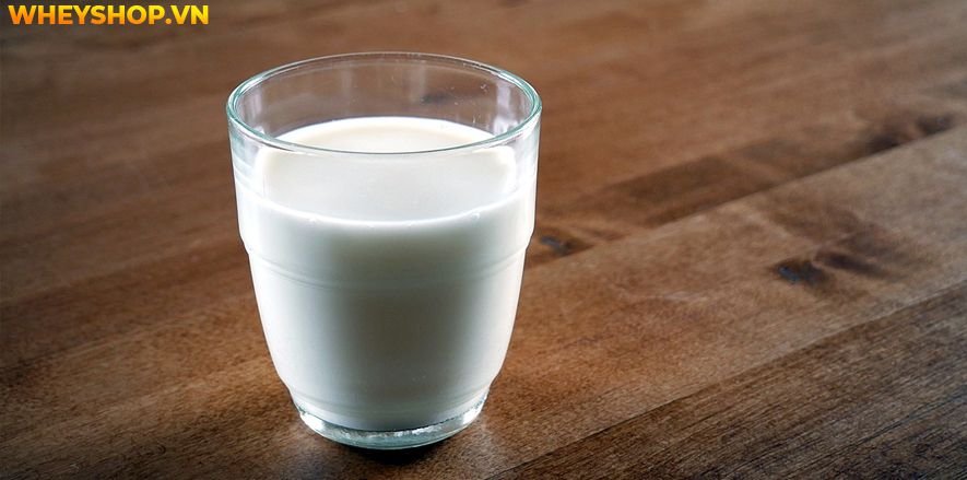 Nếu bạn đang băn khoăn thắc mắc người gầy nên ăn gì để tăng cân thì hãy cùng WheyShop tham khảo chi tiết bài viết ngay sau đây...