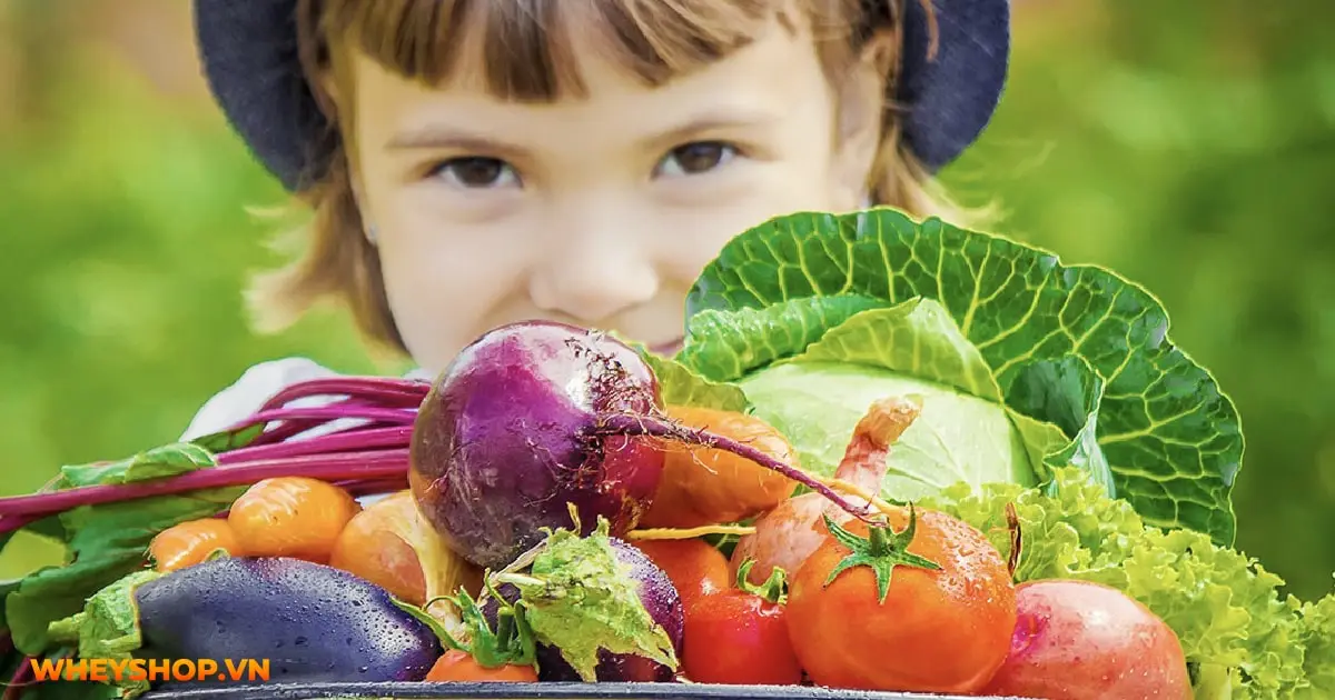 nguon-goc-va-vai-tro-cua-chat-xo-03-min