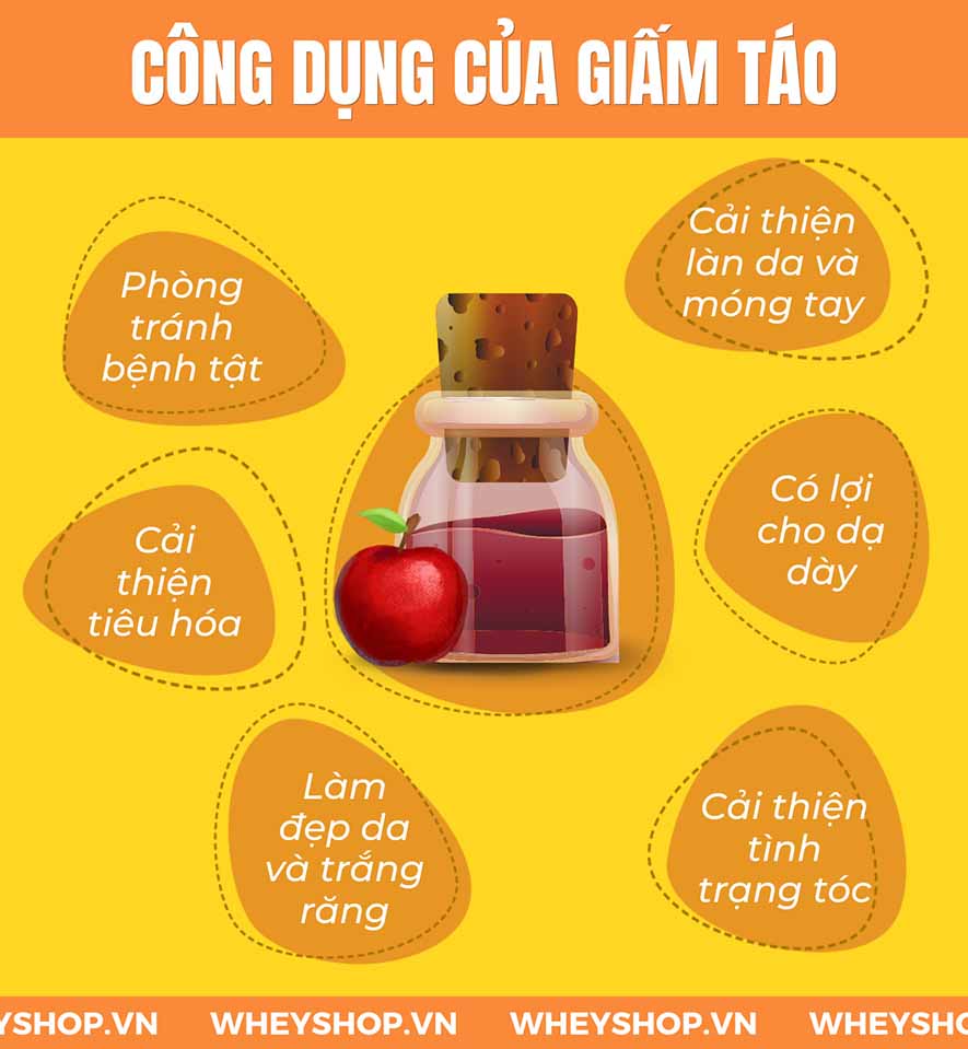 Nếu bạn đang băn khoăn giấm táo giảm cân hiệu quả không thì hãy cùng WheyShop tìm hiểu cách giảm cân bằng giấm táo và những lưu ý khi sử dụng...