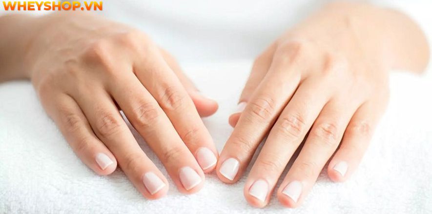 Nếu bạn đang băn khoăn giấm táo giảm cân hiệu quả không thì hãy cùng WheyShop tìm hiểu cách giảm cân bằng giấm táo và những lưu ý khi sử dụng...