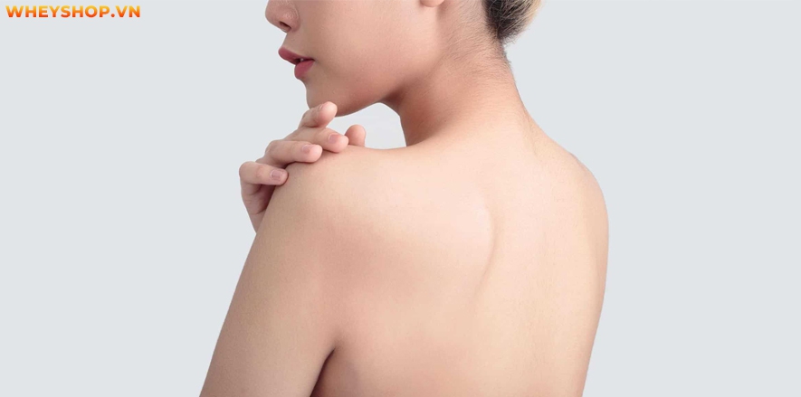 Nguyên nhân bị ngứa lưng vào ban đêm đến từ đâu? Cách trị ngứa lưng vào ban đêm thế nào? Bài viết này WheyShop sẽ giải đáp thắc mắc cho bạn