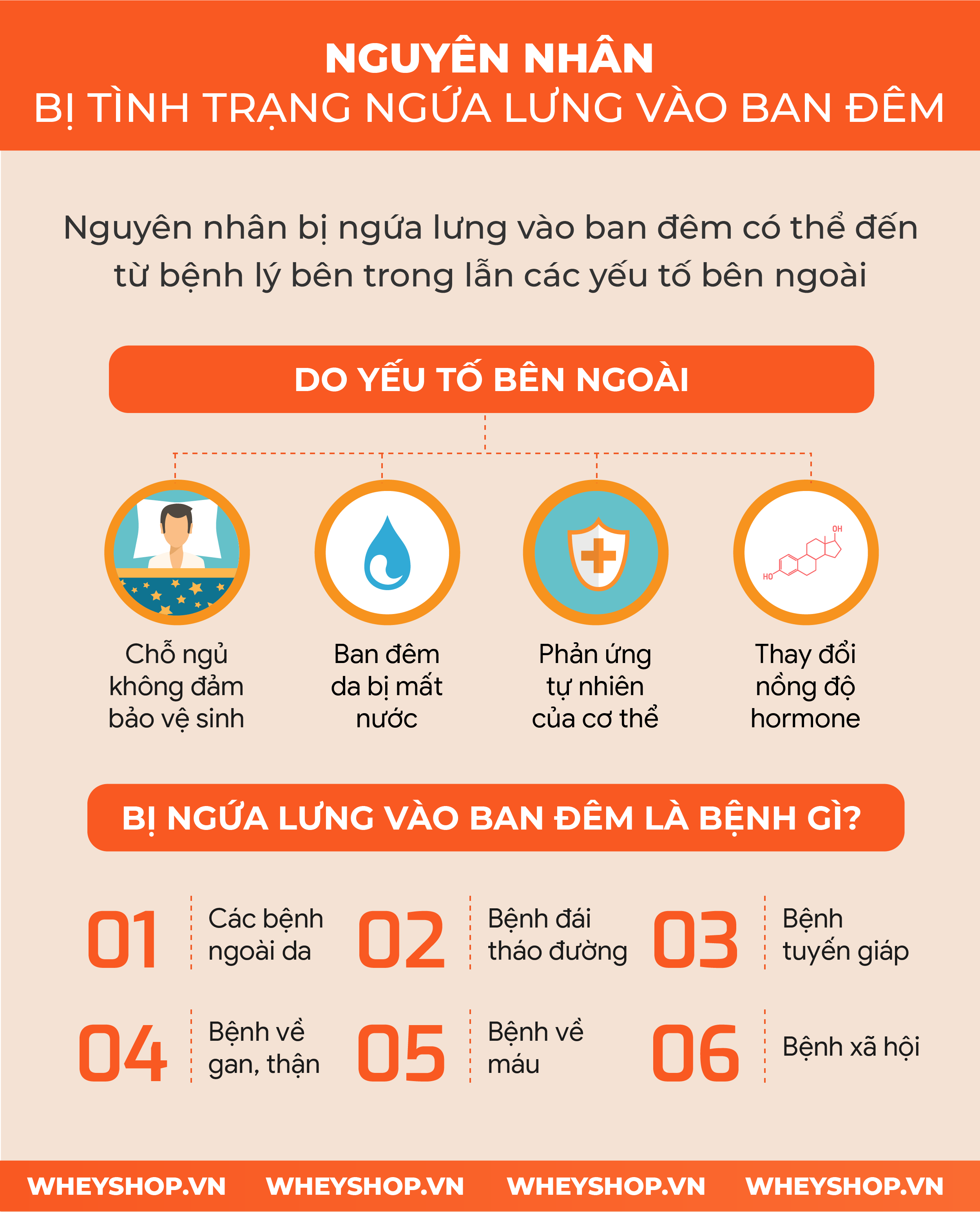 Nguyên nhân bị ngứa lưng vào ban đêm đến từ đâu? Cách trị ngứa lưng vào ban đêm thế nào? Bài viết này WheyShop sẽ giải đáp thắc mắc cho bạn