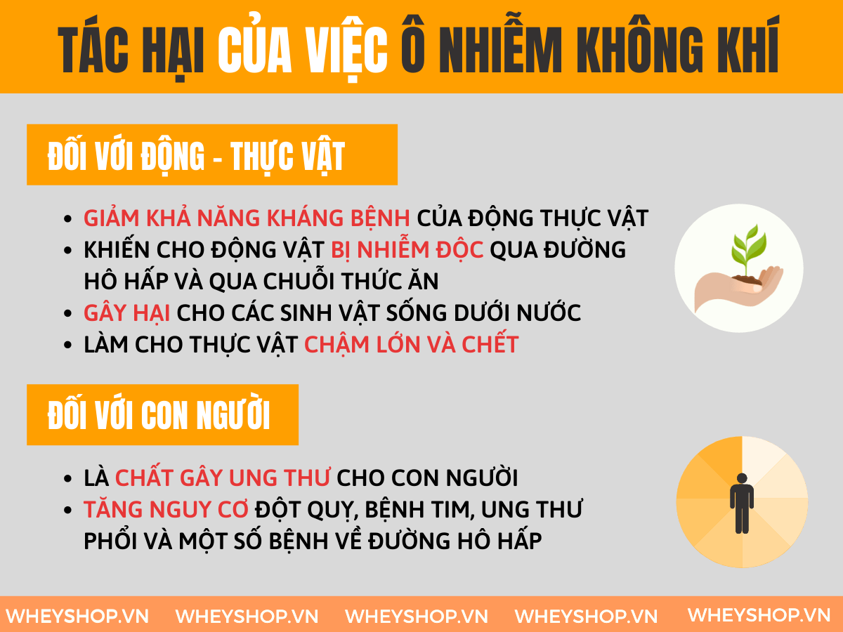 Nếu bạn đang tìm hiểu nguyên nhân của ô nhiễm không khí và cách khắc phục thì hãy cùng WheyShop tham khảo bài viết...