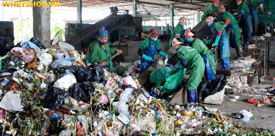 Nếu bạn đang tìm hiểu nguyên nhân của ô nhiễm không khí và cách khắc phục thì hãy cùng WheyShop tham khảo bài viết...