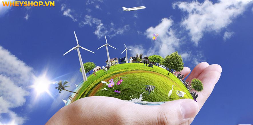 Nếu bạn đang tìm hiểu nguyên nhân của ô nhiễm không khí và cách khắc phục thì hãy cùng WheyShop tham khảo bài viết...