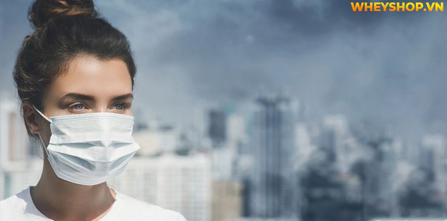 Nếu bạn đang tìm hiểu nguyên nhân của ô nhiễm không khí và cách khắc phục thì hãy cùng WheyShop tham khảo bài viết...