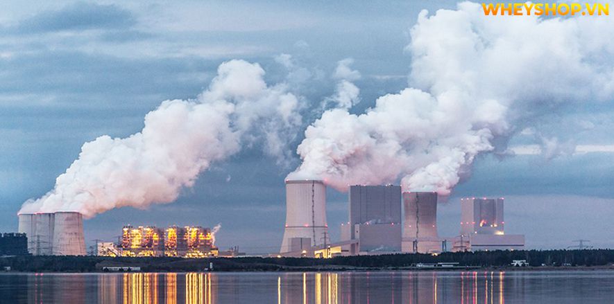 Nếu bạn đang tìm hiểu nguyên nhân của ô nhiễm không khí và cách khắc phục thì hãy cùng WheyShop tham khảo bài viết...