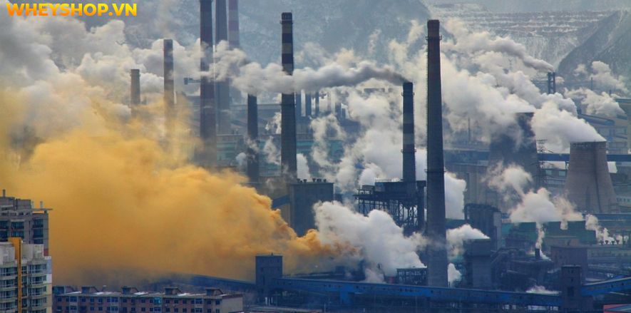 Nếu bạn đang tìm hiểu nguyên nhân của ô nhiễm không khí và cách khắc phục thì hãy cùng WheyShop tham khảo bài viết...