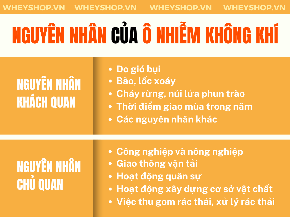 Nếu bạn đang tìm hiểu nguyên nhân của ô nhiễm không khí và cách khắc phục thì hãy cùng WheyShop tham khảo bài viết...