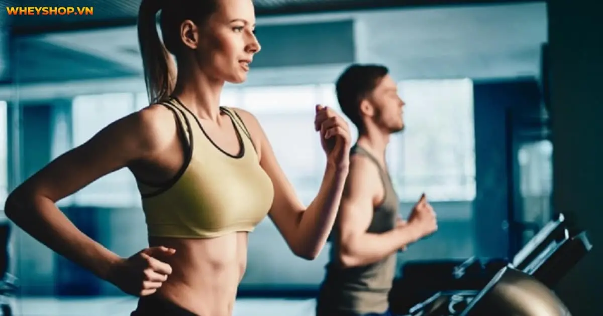 nguyen-nhan-tap-gym-hoai-ma-bung-van-to-1