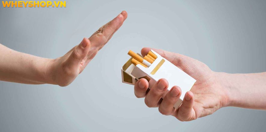 Trong cuộc sống hàng ngày, nhiều người thích nhai kẹo cao su để làm thơm mát hơi thở, nâng cao tinh thần, tập trung hoặc chỉ để bớt buồn miệng. Tuy nhiên,...