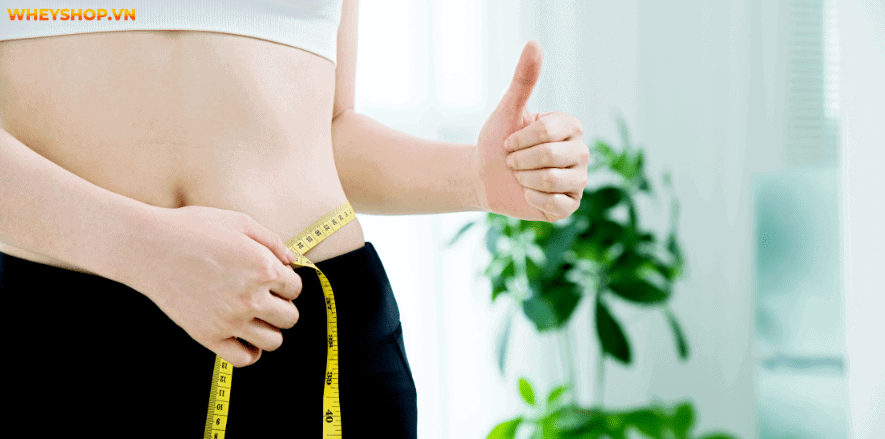 Nhảy dây tốn bao nhiêu calo? Đây vẫn là câu hỏi được nhiều người quan tâm và cần giải đáp. Hôm nay, WheyShop sẽ giải thích về nhảy dây tốn bao nhiêu calo nhé!