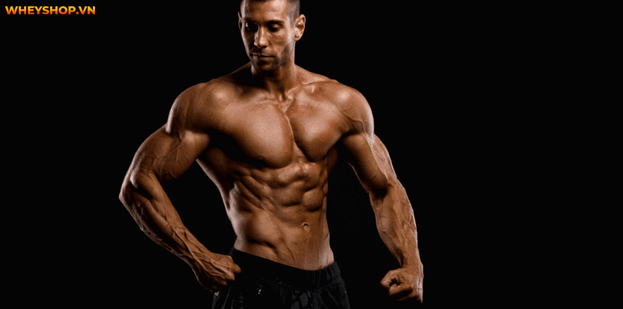 Nhảy dây tốn bao nhiêu calo? Đây vẫn là câu hỏi được nhiều người quan tâm và cần giải đáp. Hôm nay, WheyShop sẽ giải thích về nhảy dây tốn bao nhiêu calo nhé!