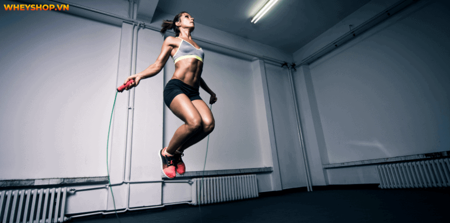 Nhảy dây tốn bao nhiêu calo? Đây vẫn là câu hỏi được nhiều người quan tâm và cần giải đáp. Hôm nay, WheyShop sẽ giải thích về nhảy dây tốn bao nhiêu calo nhé!