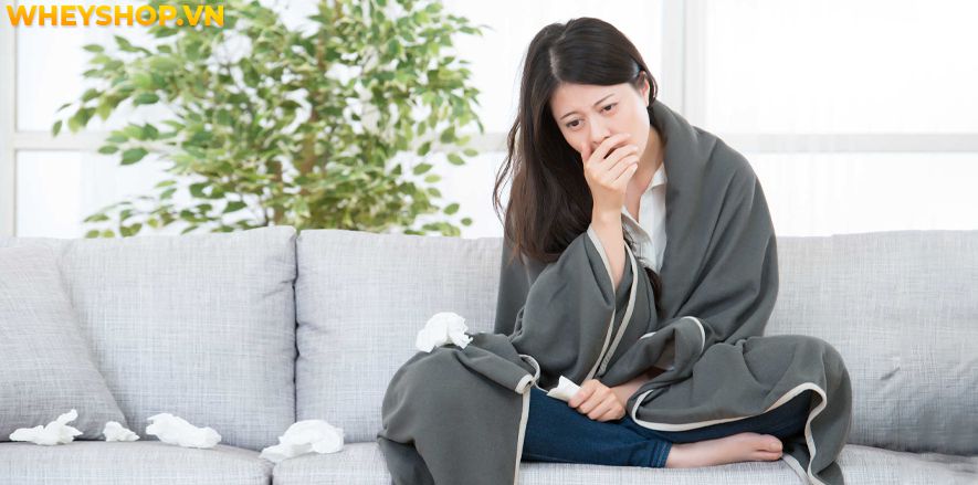 Nếu bạn đang thắc mắc nhịn ăn sáng có giảm cân không thì hãy cùng WheyShop tham khảo giải đáp qua bài viết ngay sau đây...