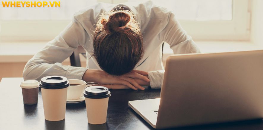 Nếu bạn đang thắc mắc nhịn ăn sáng có giảm cân không thì hãy cùng WheyShop tham khảo giải đáp qua bài viết ngay sau đây...