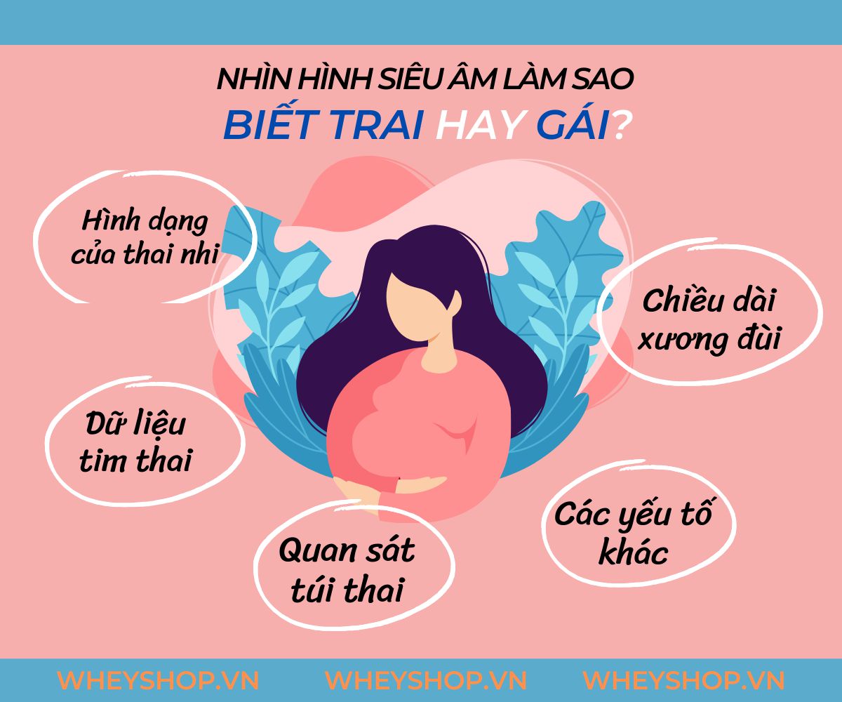 Đối với các cặp vợ chồng, đặc biệt là vợ chồng mới sẽ thắc mắc nhìn hình siêu âm làm sao biết trai hay gái. Câu trả lời sẽ có trong bài viết này cùng...