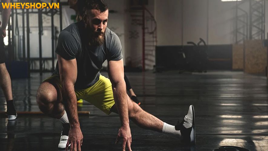 Lợi ích của việc tập thể dục có thể cải thiện gần như mọi khía cạnh sức khoẻ từ trong ra ngoài. Bài viết dưới đây WheyShop sẽ giúp bạn tìm hiểu rõ hơn lợi...