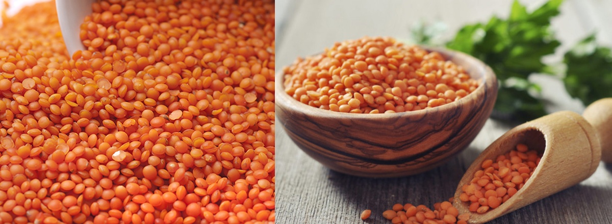 Tìm hiểu lựa chọn được những thực phẩm giàu Protein đảm bảo chế độ dinh dưỡng đầy đủ, hỗ trợ tăng cơ bắp nhanh chóng dành cho người tập gym, thể hình ...