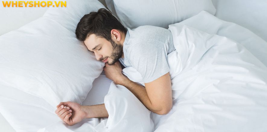 Nếu bạn đang băn khoăn tìm kiếm những bài tập thể dục thể hình giúp tăng cân nhanh cho người gầy thì hãy cùng WheyShop tham khảo bài viết...