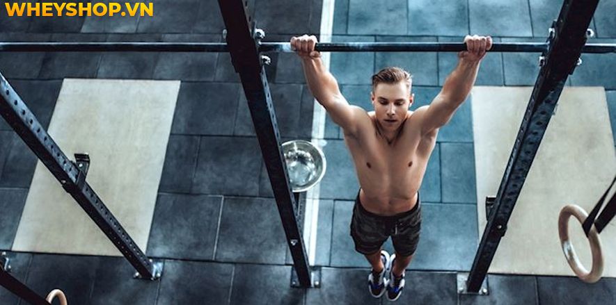 Nếu bạn đang băn khoăn tìm kiếm những bài tập thể dục thể hình giúp tăng cân nhanh cho người gầy thì hãy cùng WheyShop tham khảo bài viết...