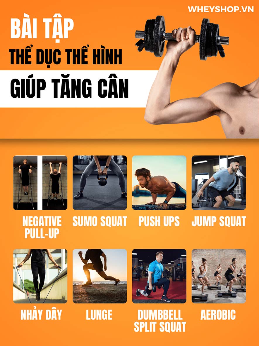 Nếu bạn đang băn khoăn tìm kiếm những bài tập thể dục thể hình giúp tăng cân nhanh cho người gầy thì hãy cùng WheyShop tham khảo bài viết...