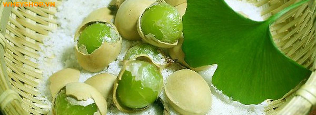 Nếu bạn đang băn khoăn không biết ginkgo biloba là gì thì hãy cùng WheyShop tìm hiểu chi tiết về ginkgo biloba qua bài viết ngay sau đây...