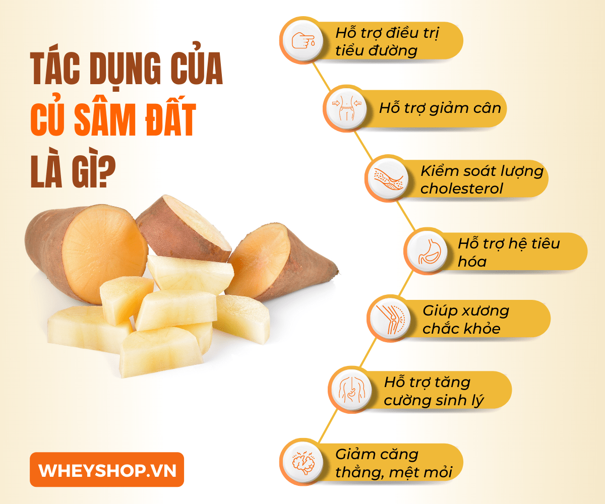 Nếu bạn đang băn khoăn tìm cách chế biến củ sâm đất thì hãy cùng WheyShop tham khảo hướng dẫn chi tiết qua bài viết ngay sau đây...