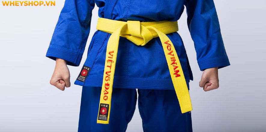 Judo là môn võ khá nổi tiếng ở Việt Nam hiện nay và được dạy ở khắp mọi nơi, dành cho mọi đối tượng. Bài viết này WheyShop sẽ giúp cho bạn có cái nhìn tổng...