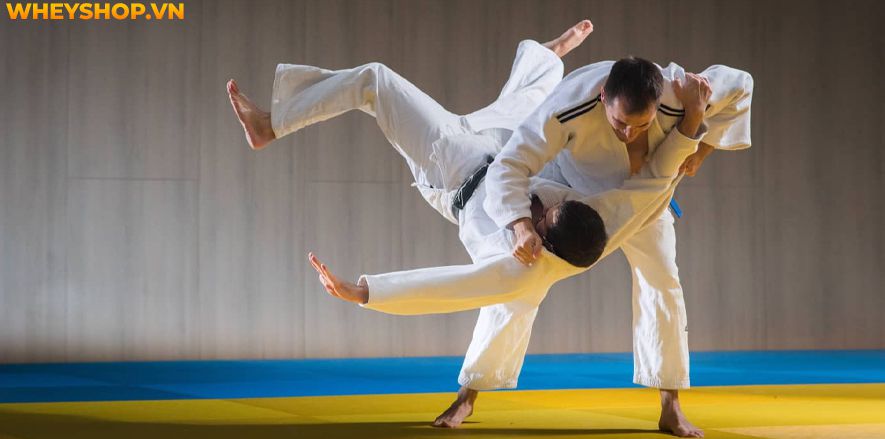 Judo là môn võ khá nổi tiếng ở Việt Nam hiện nay và được dạy ở khắp mọi nơi, dành cho mọi đối tượng. Bài viết này WheyShop sẽ giúp cho bạn có cái nhìn tổng...