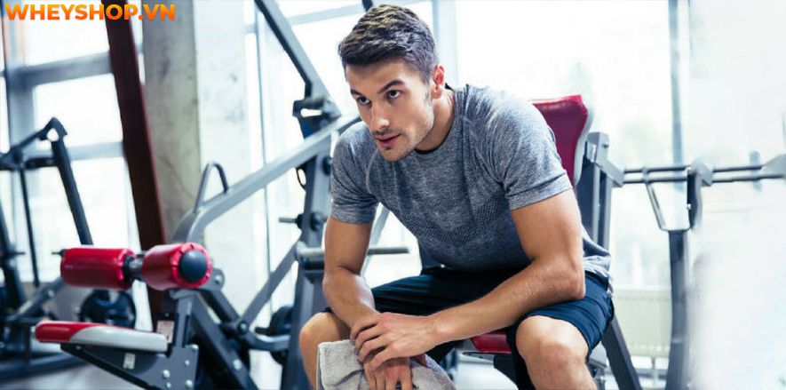Bạn đã biết liệu mình đã tập gym sai cách hay không chưa? Cùng WheyShop tìm hiểu ngay 9 dấu hiệu của việc tập gym sai cách qua bài viết...