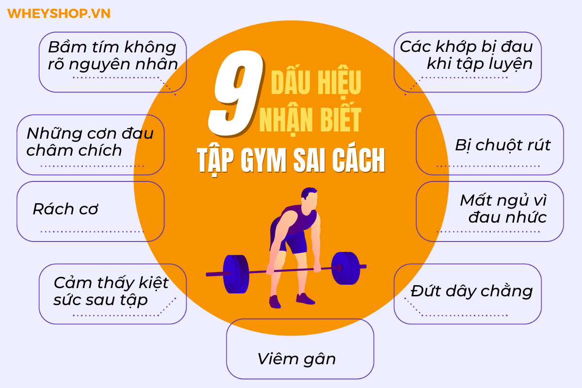 Bạn đã biết liệu mình đã tập gym sai cách hay không chưa? Cùng WheyShop tìm hiểu ngay 9 dấu hiệu của việc tập gym sai cách qua bài viết...