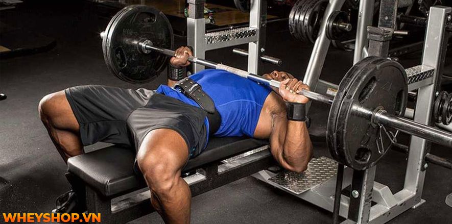 Bạn đã biết liệu mình đã tập gym sai cách hay không chưa? Cùng WheyShop tìm hiểu ngay 9 dấu hiệu của việc tập gym sai cách qua bài viết...