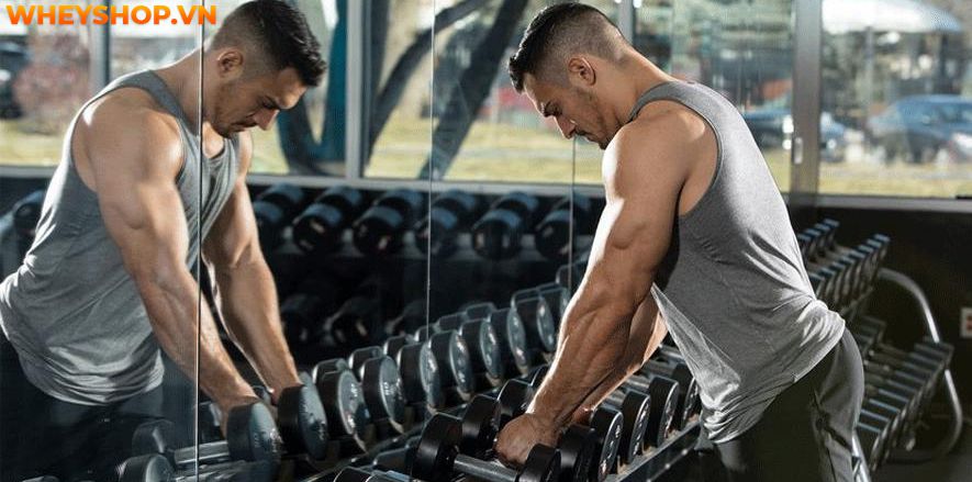 Bạn đã biết liệu mình đã tập gym sai cách hay không chưa? Cùng WheyShop tìm hiểu ngay 9 dấu hiệu của việc tập gym sai cách qua bài viết...