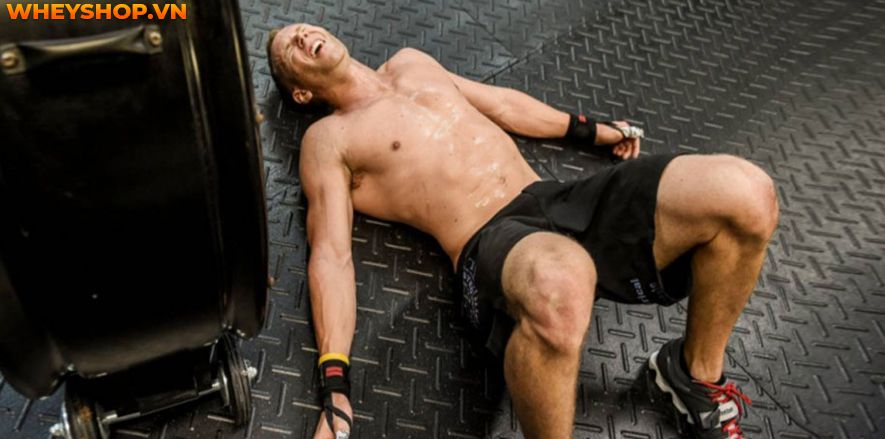 Bạn đã biết liệu mình đã tập gym sai cách hay không chưa? Cùng WheyShop tìm hiểu ngay 9 dấu hiệu của việc tập gym sai cách qua bài viết...