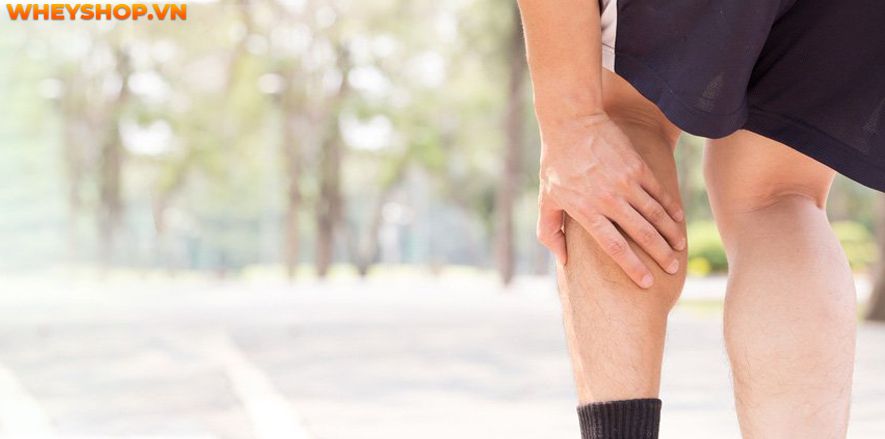 Bạn đã biết liệu mình đã tập gym sai cách hay không chưa? Cùng WheyShop tìm hiểu ngay 9 dấu hiệu của việc tập gym sai cách qua bài viết...