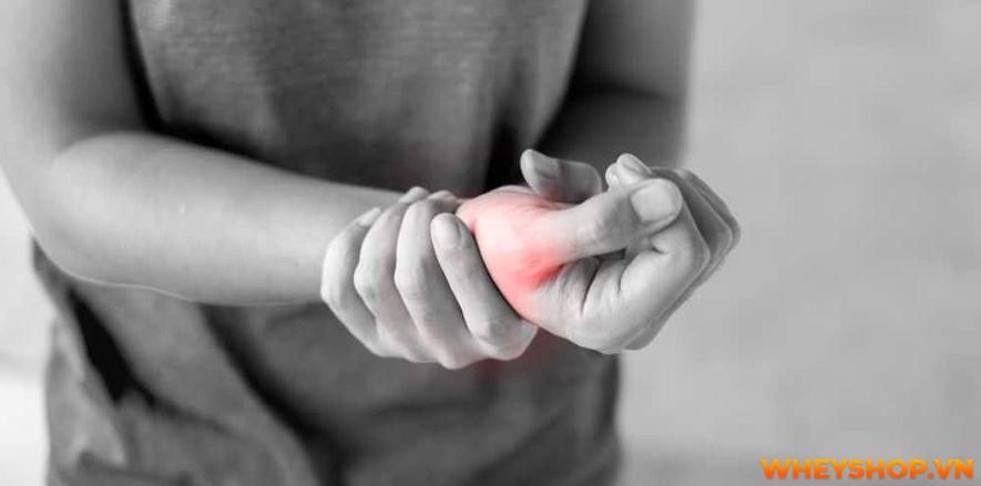 Bạn đã biết liệu mình đã tập gym sai cách hay không chưa? Cùng WheyShop tìm hiểu ngay 9 dấu hiệu của việc tập gym sai cách qua bài viết...