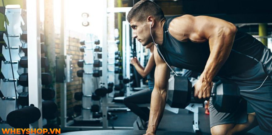 Bạn đã biết liệu mình đã tập gym sai cách hay không chưa? Cùng WheyShop tìm hiểu ngay 9 dấu hiệu của việc tập gym sai cách qua bài viết...