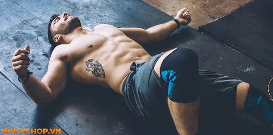 Bạn đã biết liệu mình đã tập gym sai cách hay không chưa? Cùng WheyShop tìm hiểu ngay 9 dấu hiệu của việc tập gym sai cách qua bài viết...