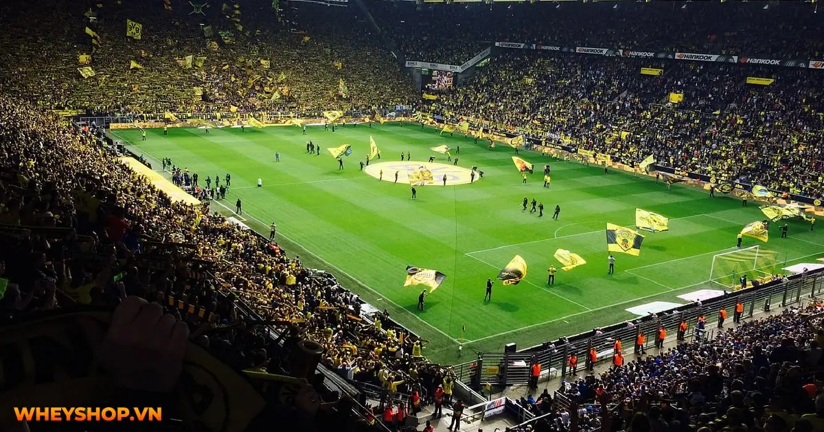 nhung-dieu-ban-can-biet-ve-san-van-dong-signal-iduna-park