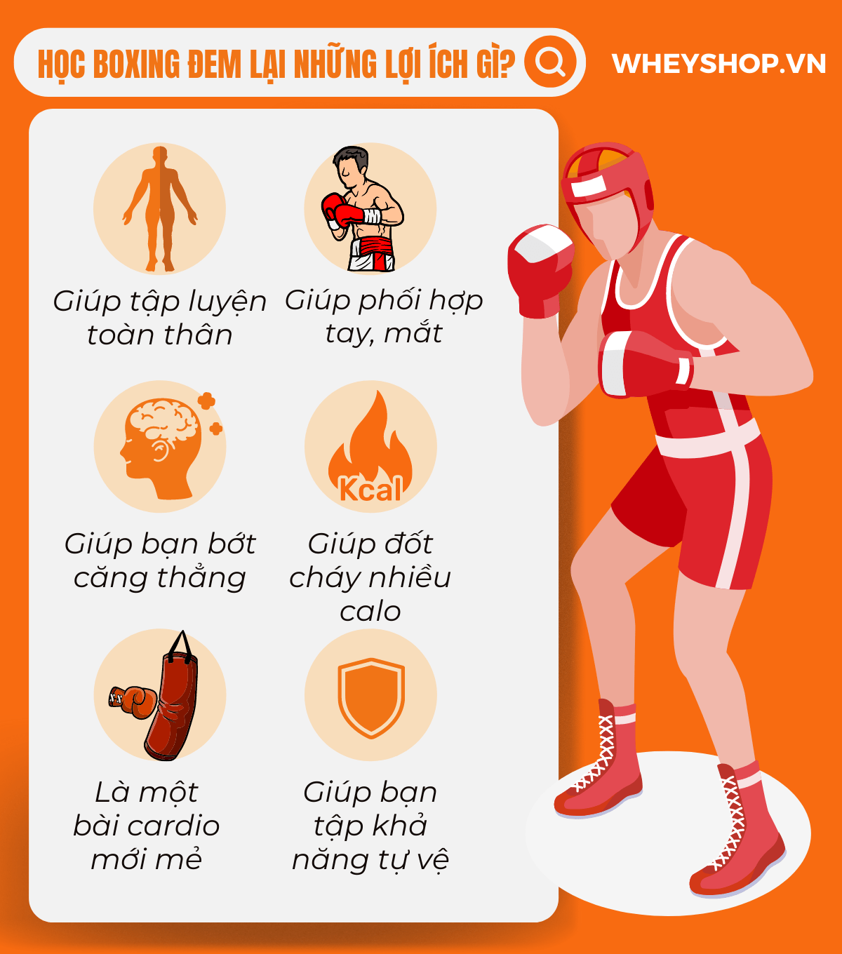 Boxing hay còn gọi là quyền anh, đang dần trở nên phổ biến trên toàn thế giới. Nhiều người chọn học boxing là môn thể thao để nâng cao sức khỏe và khả năng...