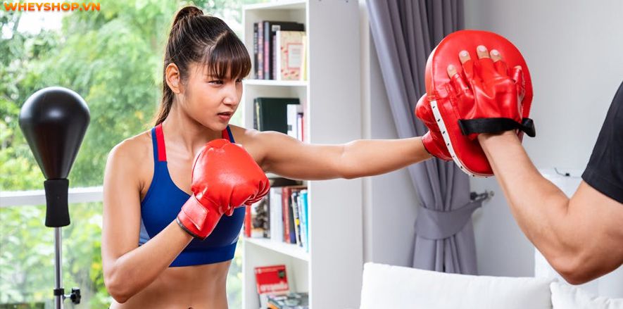 Boxing hay còn gọi là quyền anh, đang dần trở nên phổ biến trên toàn thế giới. Nhiều người chọn học boxing là môn thể thao để nâng cao sức khỏe và khả năng...