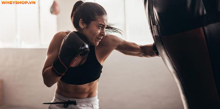 Boxing hay còn gọi là quyền anh, đang dần trở nên phổ biến trên toàn thế giới. Nhiều người chọn học boxing là môn thể thao để nâng cao sức khỏe và khả năng...