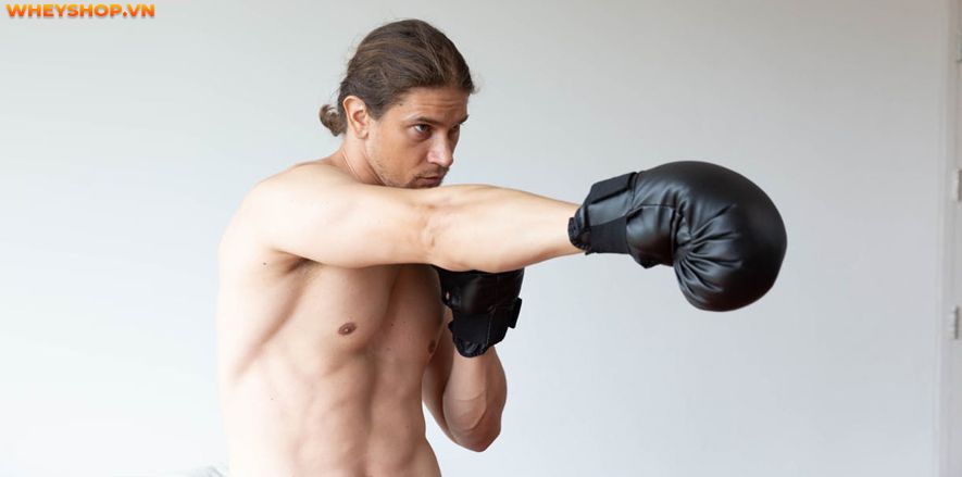 Boxing hay còn gọi là quyền anh, đang dần trở nên phổ biến trên toàn thế giới. Nhiều người chọn học boxing là môn thể thao để nâng cao sức khỏe và khả năng...