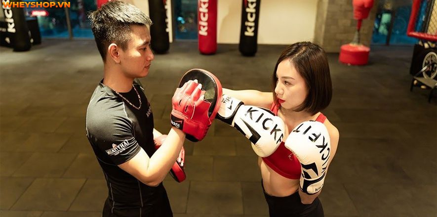Boxing hay còn gọi là quyền anh, đang dần trở nên phổ biến trên toàn thế giới. Nhiều người chọn học boxing là môn thể thao để nâng cao sức khỏe và khả năng...