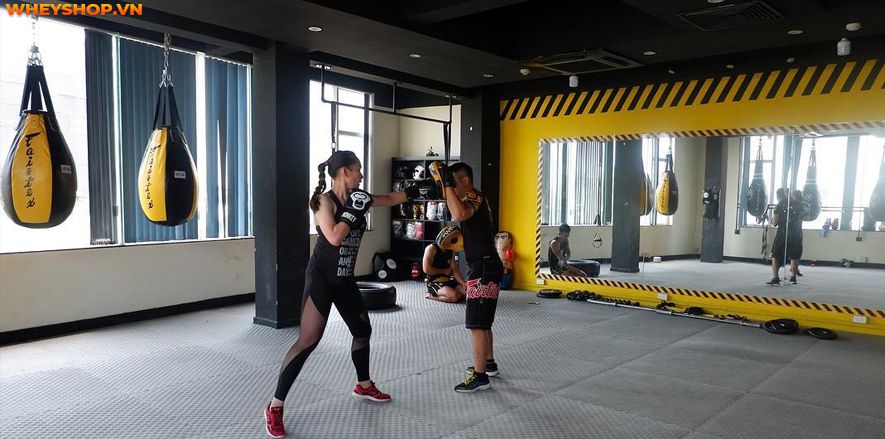 Boxing hay còn gọi là quyền anh, đang dần trở nên phổ biến trên toàn thế giới. Nhiều người chọn học boxing là môn thể thao để nâng cao sức khỏe và khả năng...