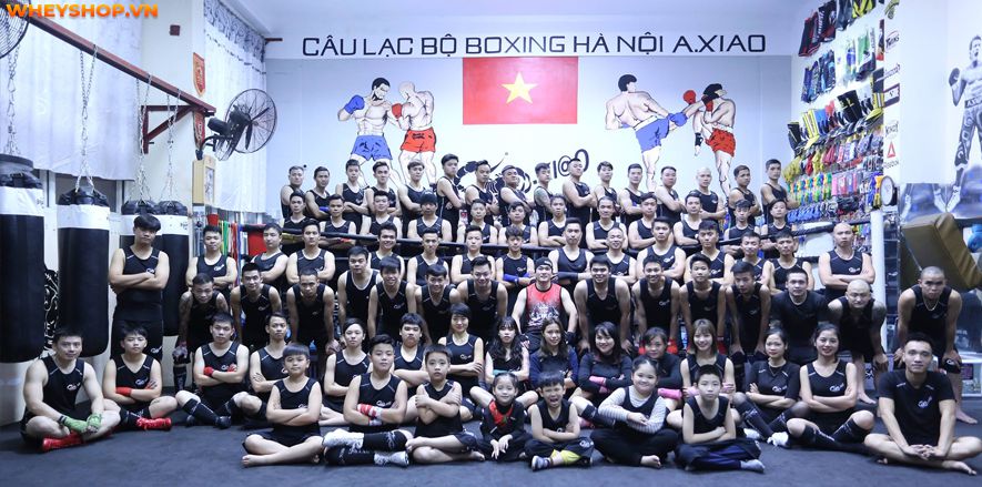 Boxing hay còn gọi là quyền anh, đang dần trở nên phổ biến trên toàn thế giới. Nhiều người chọn học boxing là môn thể thao để nâng cao sức khỏe và khả năng...