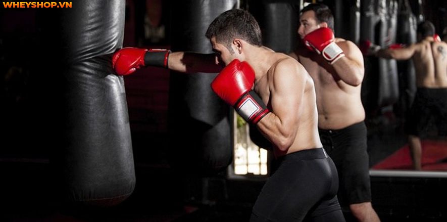 Boxing hay còn gọi là quyền anh, đang dần trở nên phổ biến trên toàn thế giới. Nhiều người chọn học boxing là môn thể thao để nâng cao sức khỏe và khả năng...